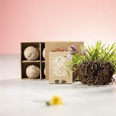 Kit Horta - Tomarux – foto 6