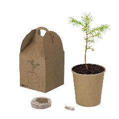 Vaso - Vencor