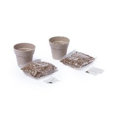Set Vasos - Nertel – foto 2
