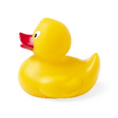 Pato - Koldy – foto 3
