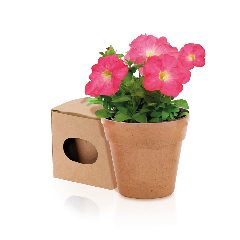 Vaso - Advert – foto 2