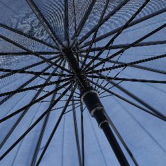 Raynfall – foto 5